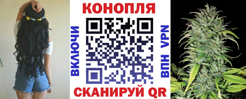 Канабис ГИДРОПОН kraken ТОР Кировск